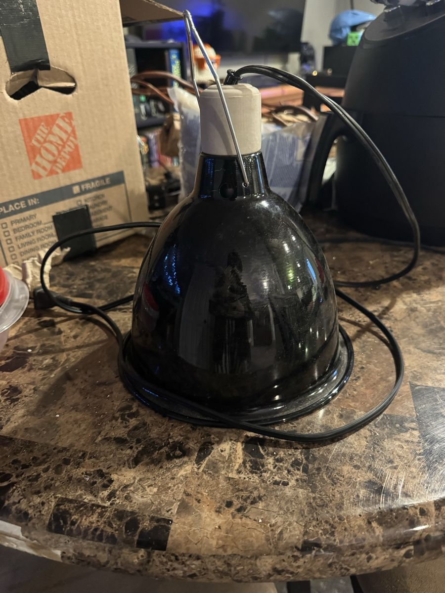 Reptile Heat/Light Dome Lamp