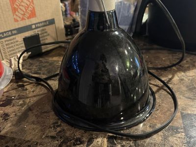 Reptile Heat/Light Dome Lamp