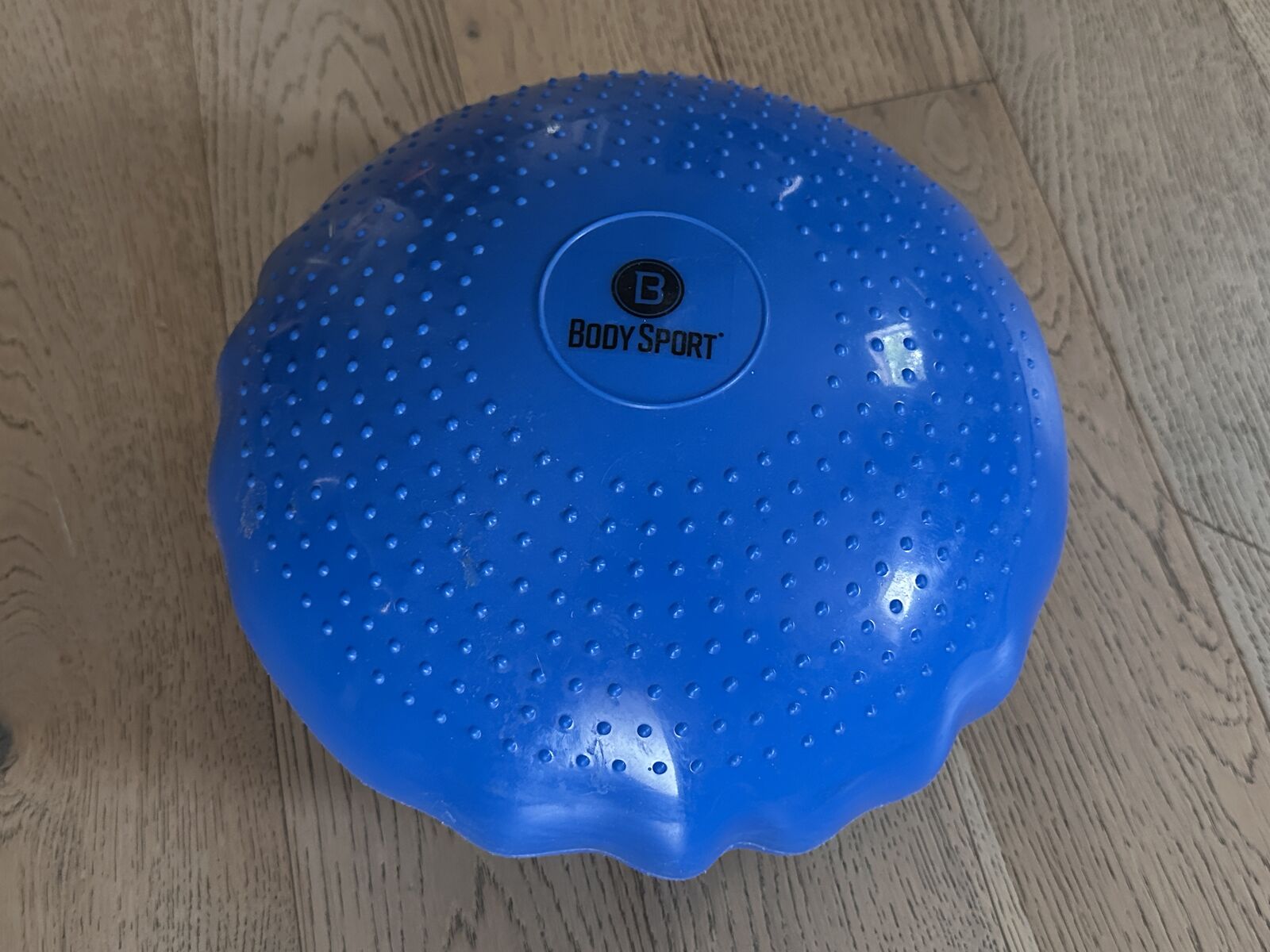 Body Sport Balance Disc. Stretching, Chiropractic.