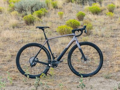 Trek Checkpoint SL7 58