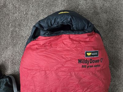 Short or Youth Down Sleeping Bag