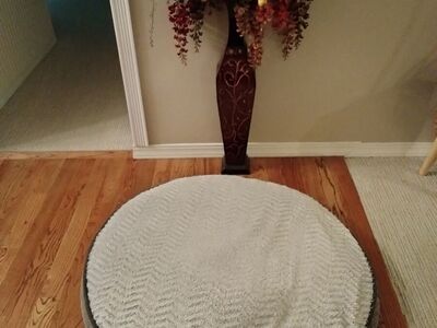 Deluxe Kirkland dog bed