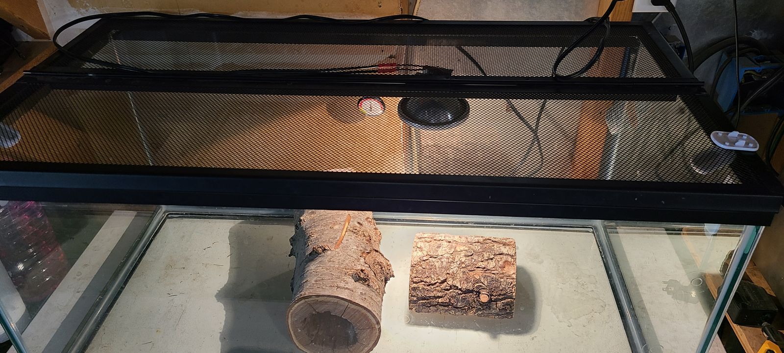 Main image 4