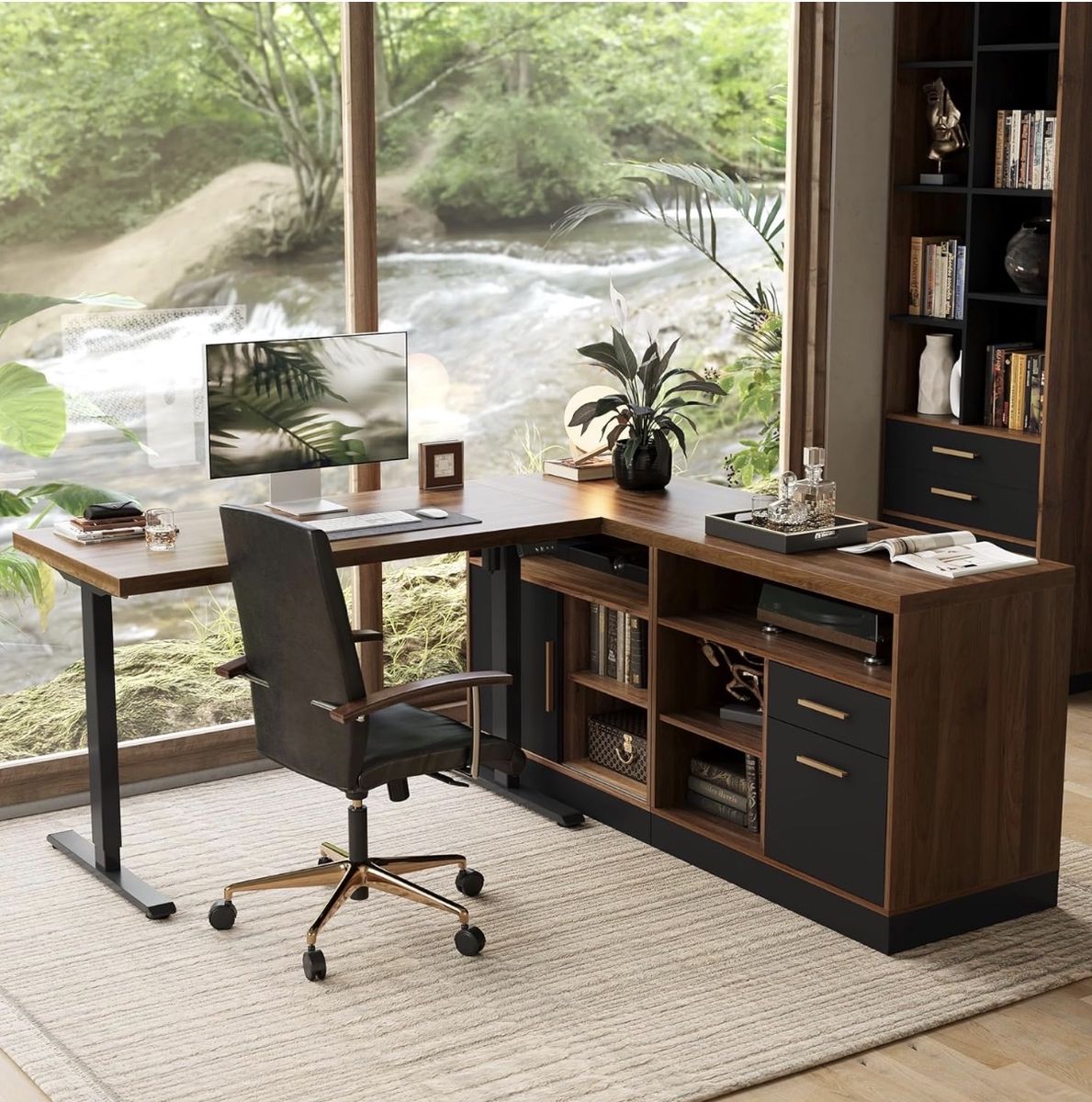Standing Desk & Cabinets