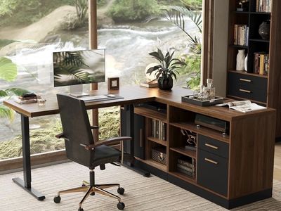 Standing Desk & Cabinets