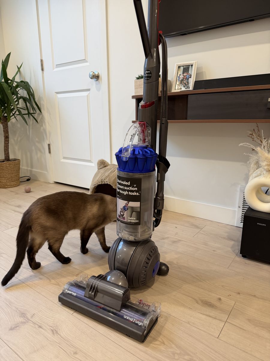 Dyson Ball Animal Vacuum
