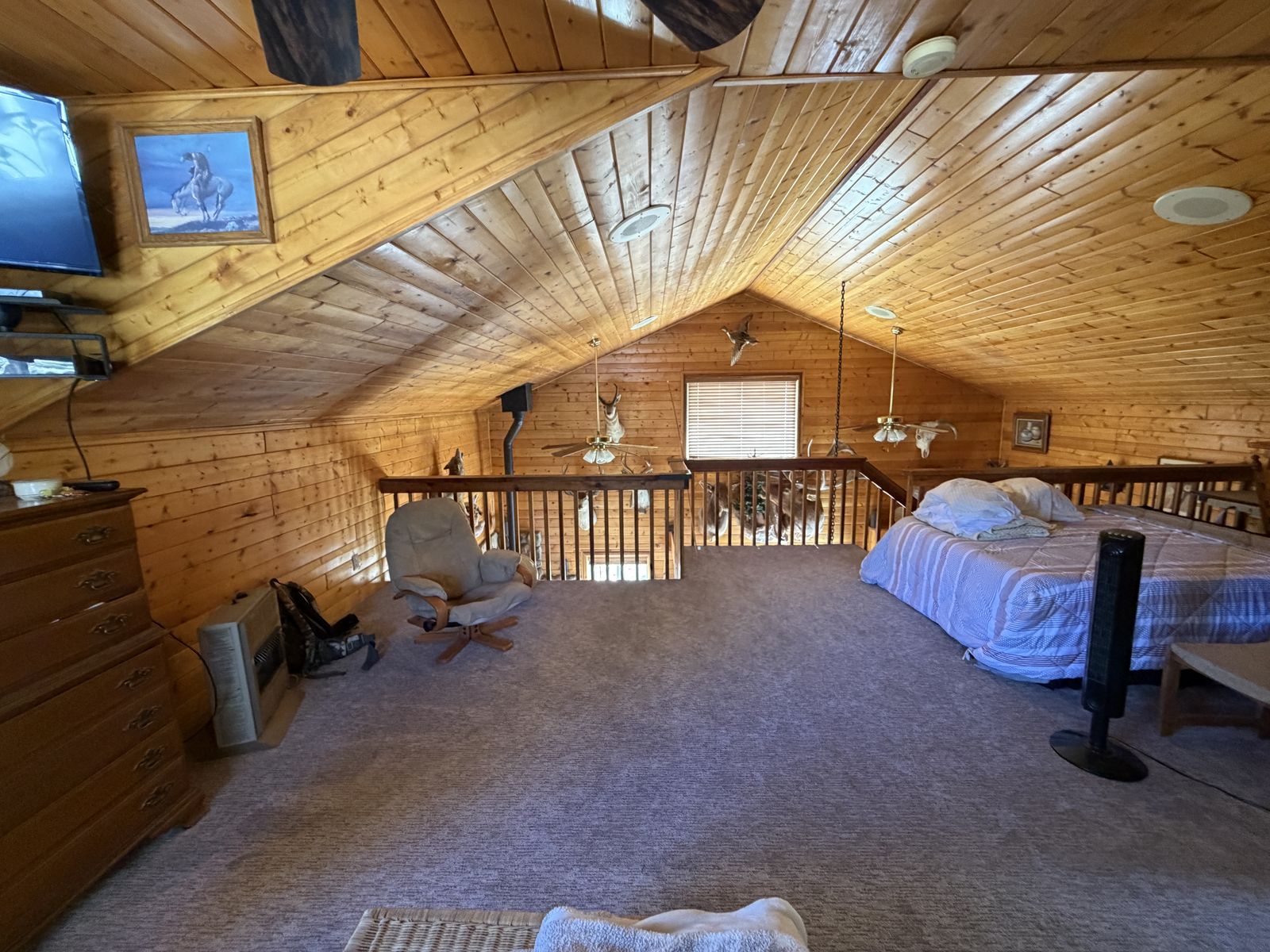 Main image 12