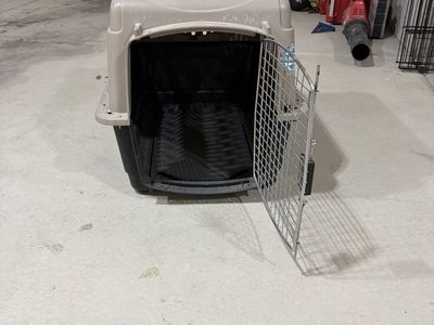 Dog Kennel