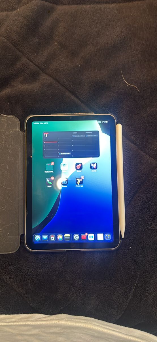 Apple IPad Mini 7 (A17) with Apple Pencil Pro and case