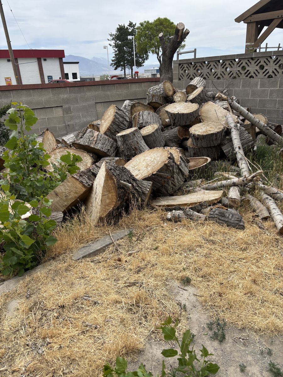 Free firewood