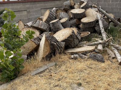 Free firewood