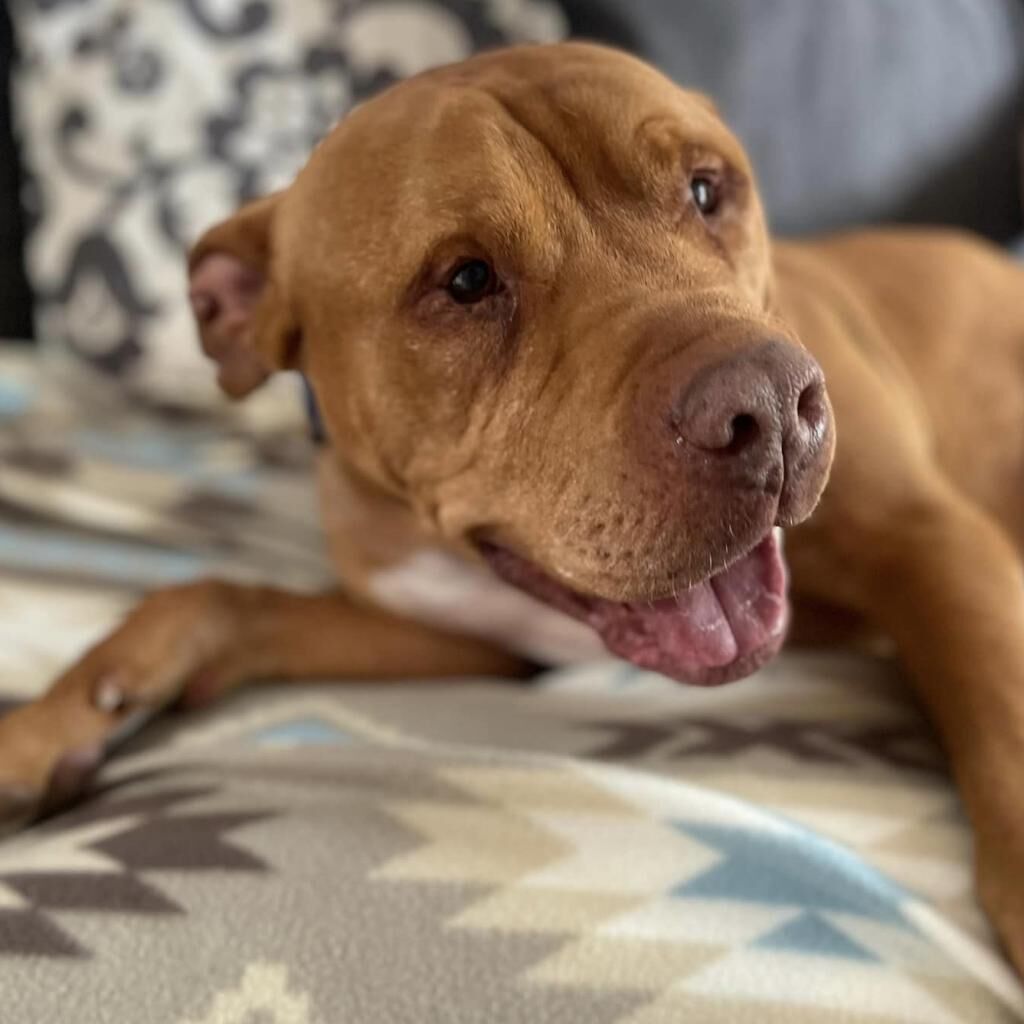 Hello my name is Neon