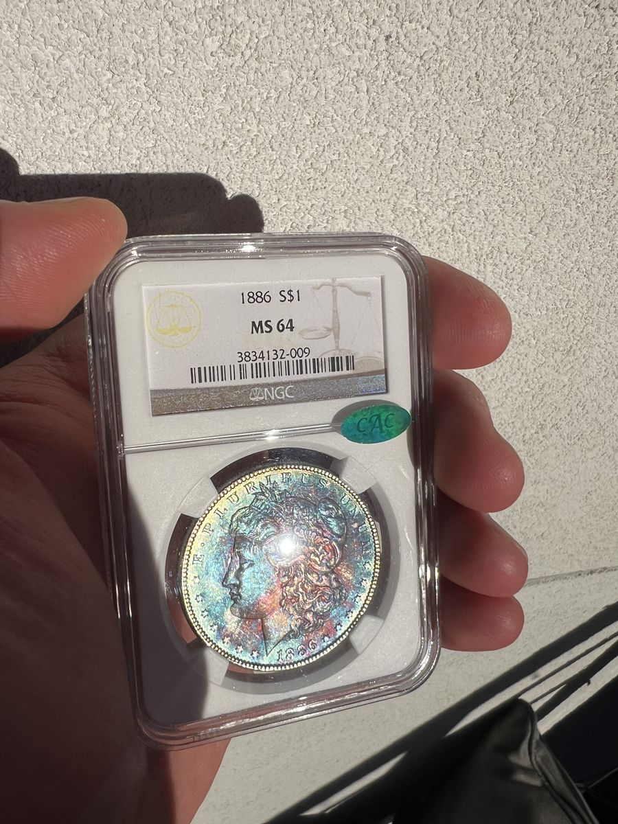 1886 P Morgan Dollar MS64 Toned NGC & CAC