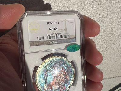 1886 P Morgan Dollar MS64 Toned NGC & CAC
