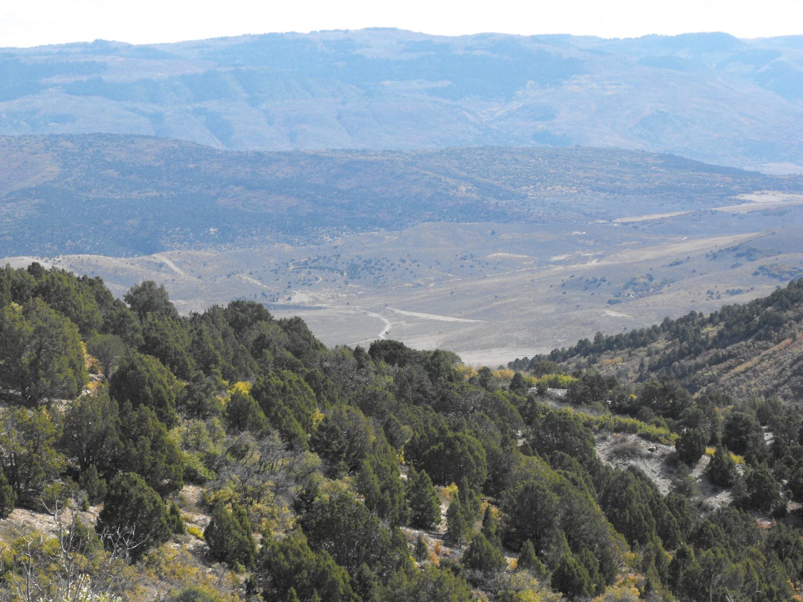 20 Acres land Sanpete County