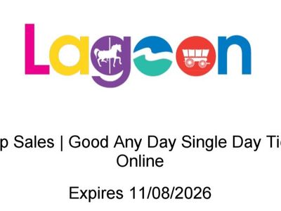Lagoon Ticket for sale