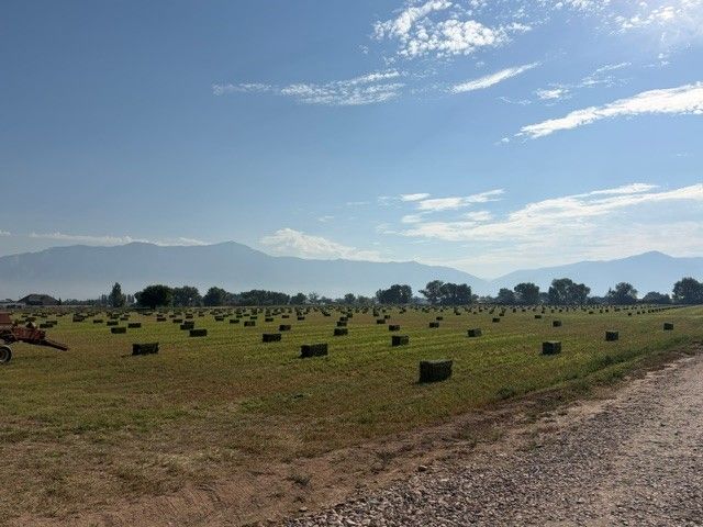 3rd Cut Premium Alfalfa Hay
