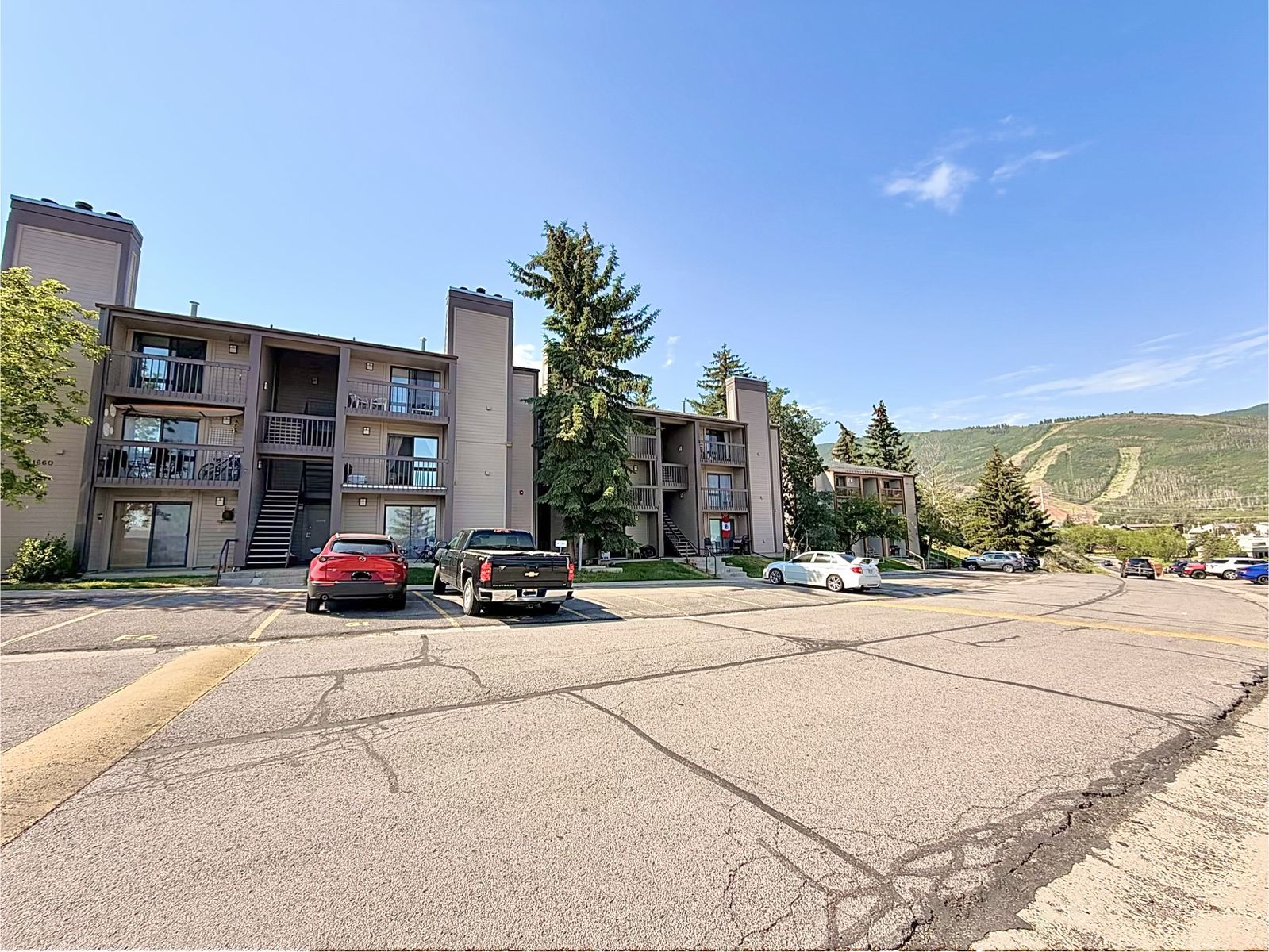 Looking For Roommate
