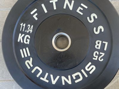 25LB PAIR OF BUMPER PLATES barbell weights
