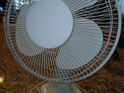 Free Standing Oscillating Fan
