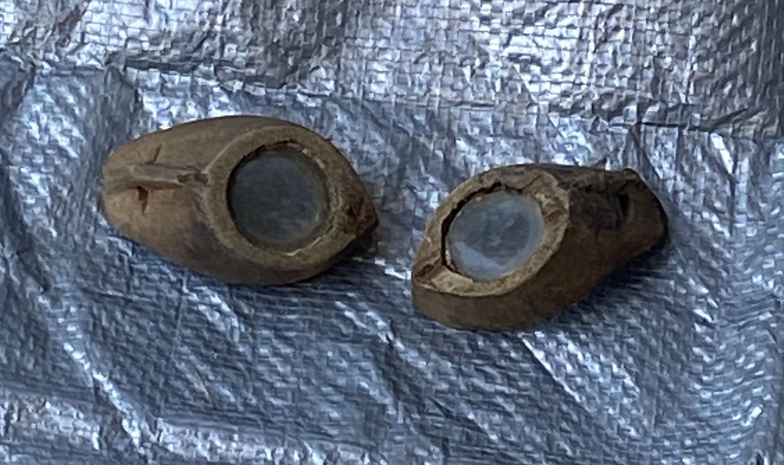 Vintage Hand-Carved Wooden Goggles / Eye Shields – Okinawa, Japan Veteran Bring-Back