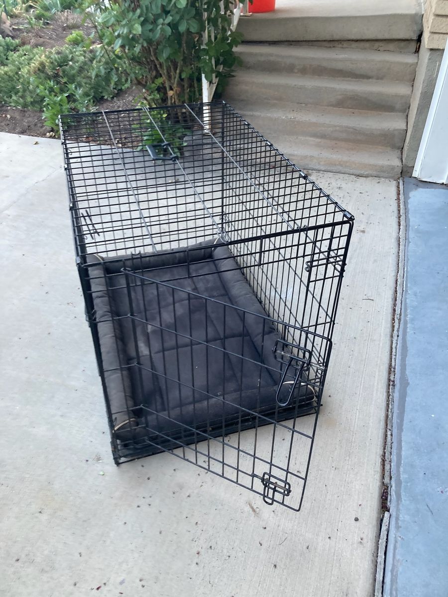 Large dog crate