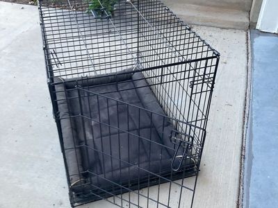 Large dog crate