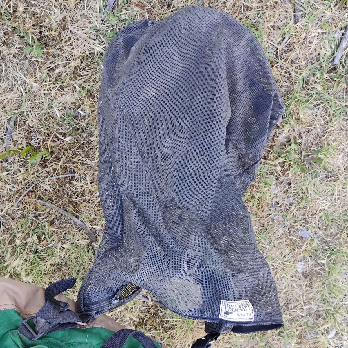 Main image 3
