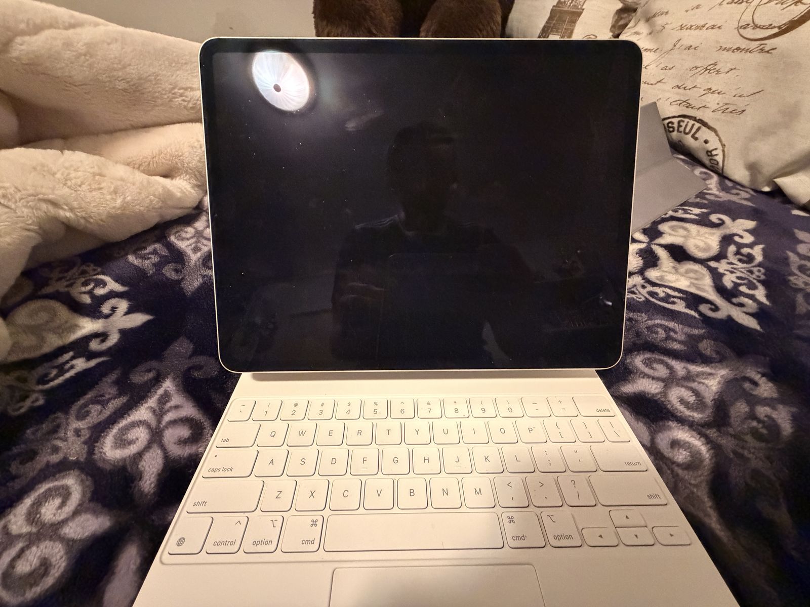 12-9 in Apple IPad Pro (2020) 512GB