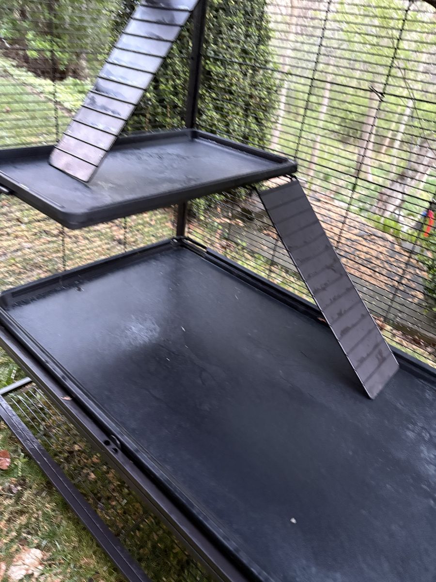 Main image 6