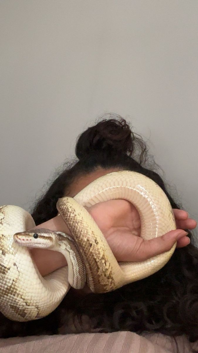 Snake