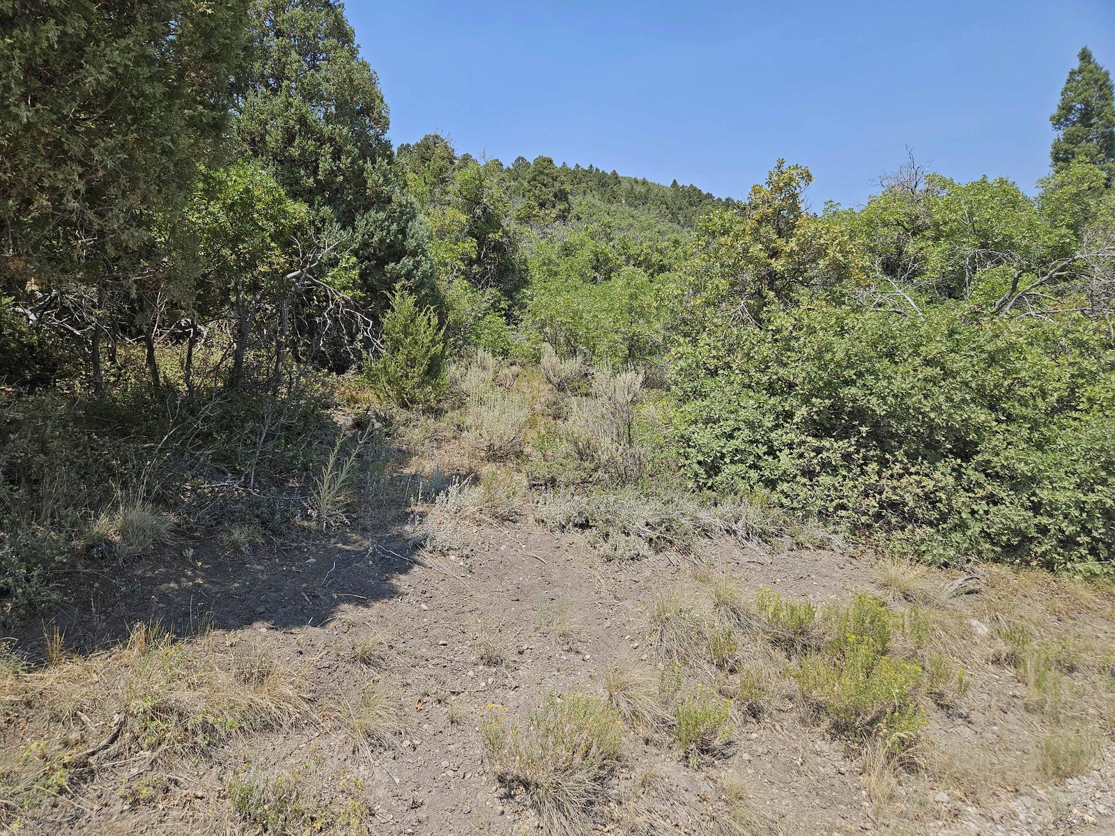 Main image 8