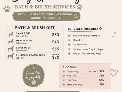 Discounted Dog Grooming