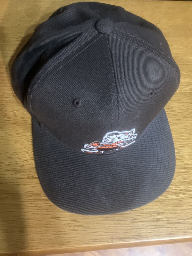 NFL Vintage Cleveland Browns Hat