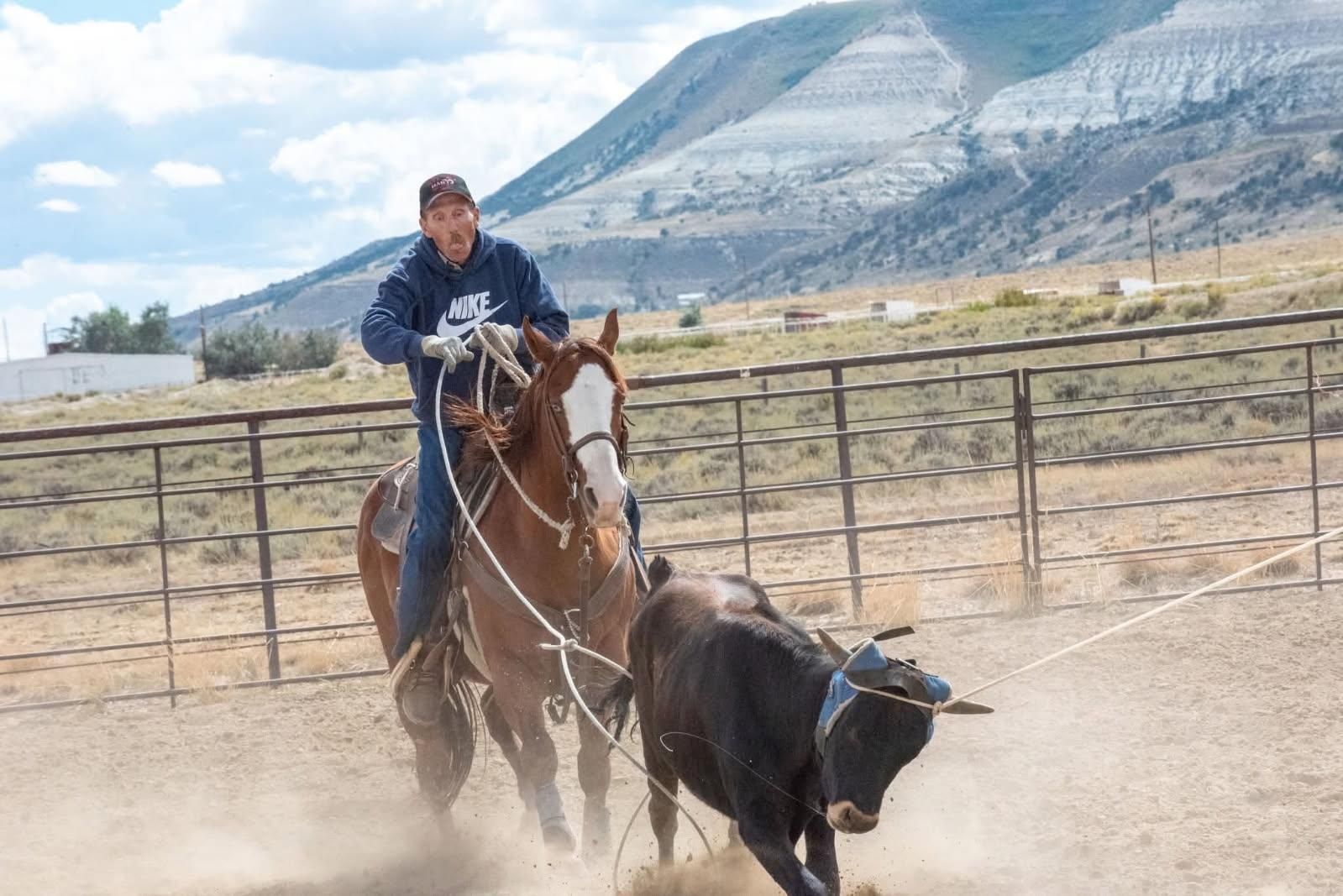 Heel/Ranch/4H/Kids Horse