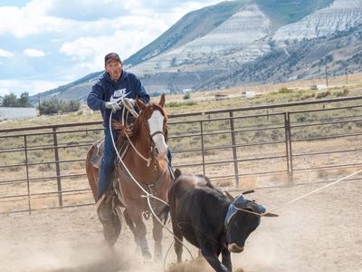 Heel/Ranch/4H/Kids Horse