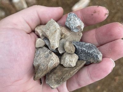 Free Rock
