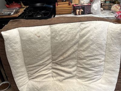 Large dog bed Kirkland Brand