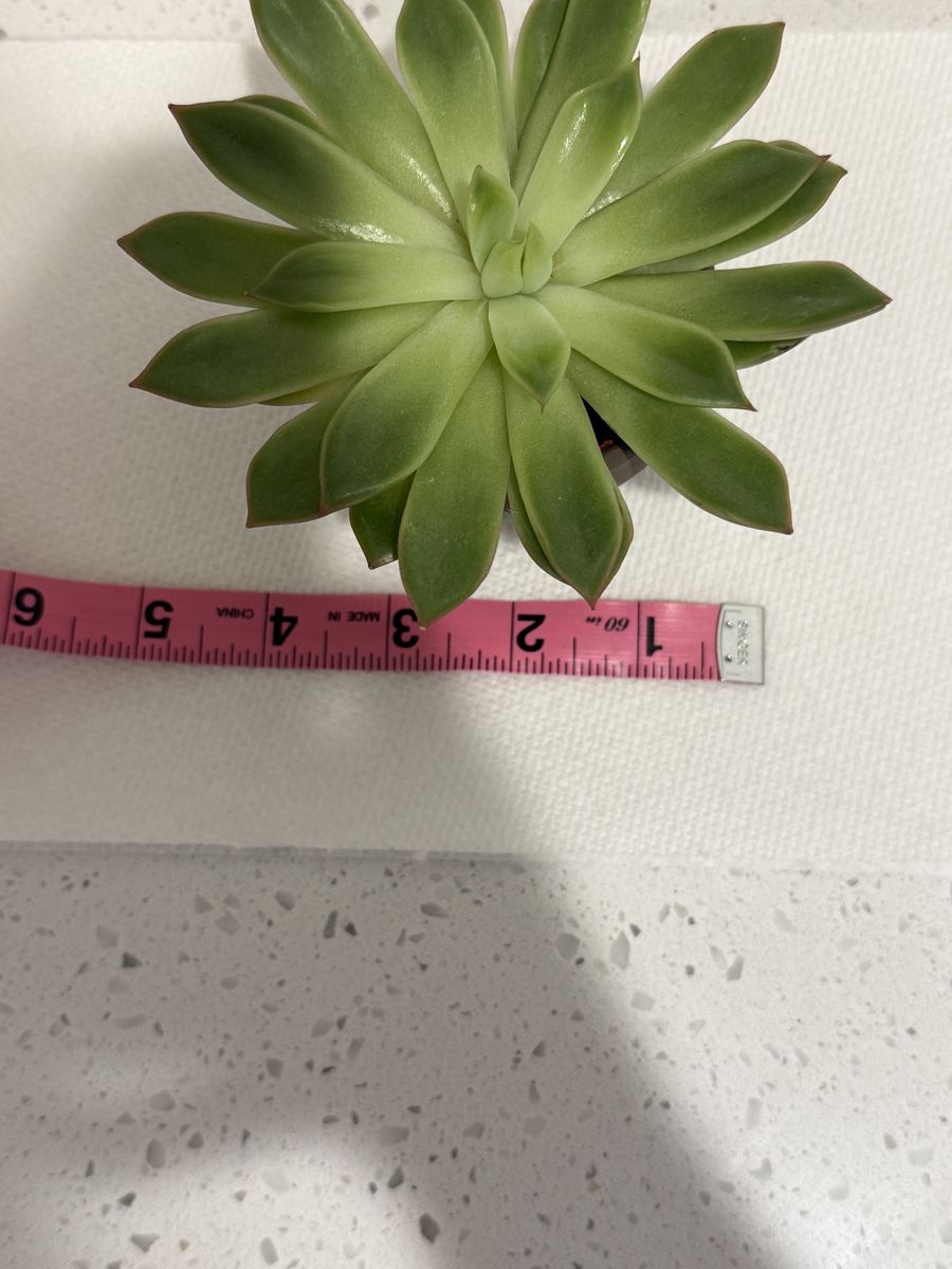 Main image 3