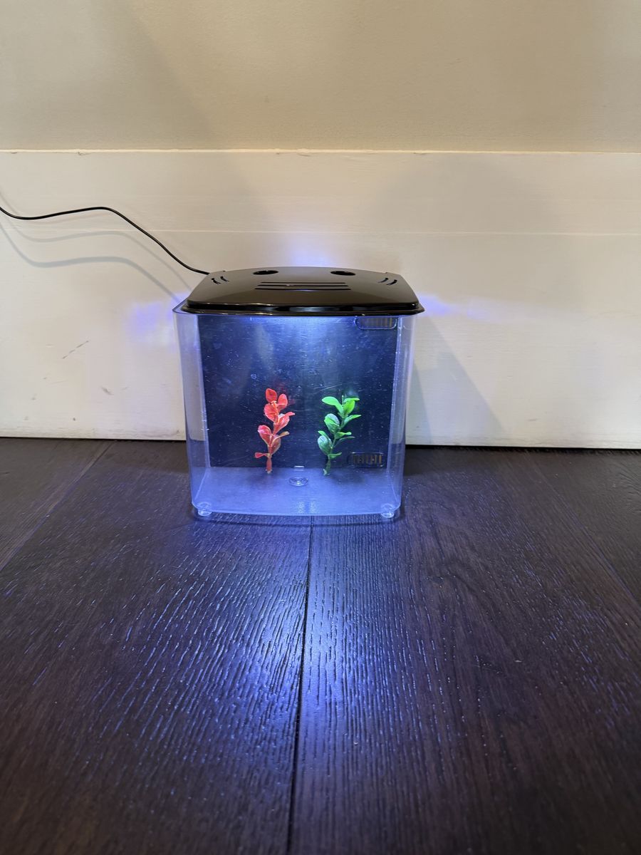 Small Desktop Aquarium with LED Lighting and Artificial Plants - Good Condition