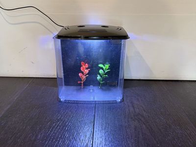 Small Desktop Aquarium with LED Lighting and Artificial Plants - Good Condition