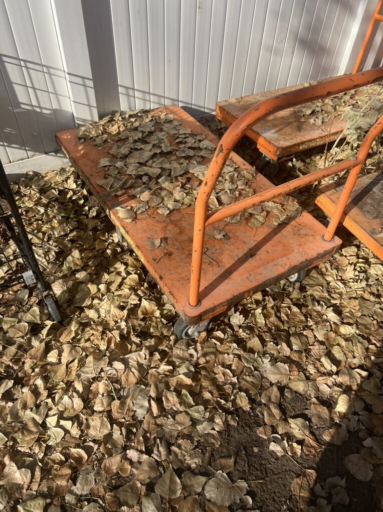 30 X 54 Industrial Cart