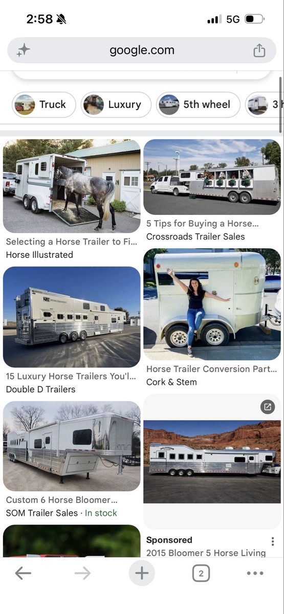ISO horse trailer