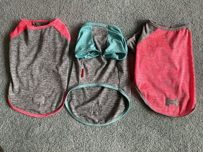 3 light weight dog shirts