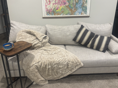 Ikea couch ($20)