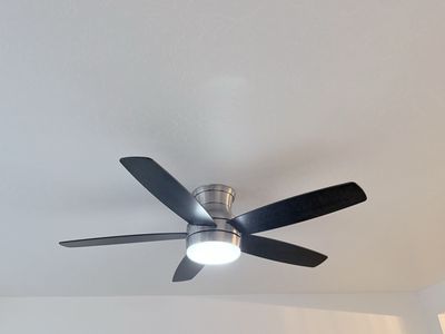 Ceiling fan