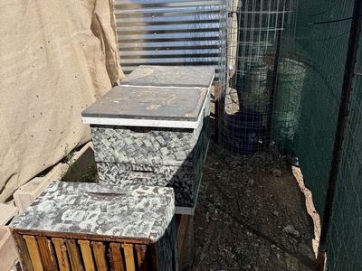 Beehives For Sale