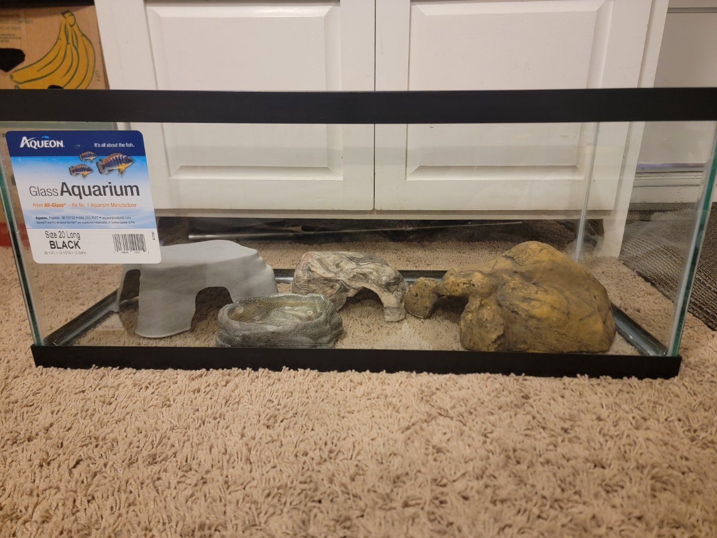 Aqueon 10 Gallon Glass Aquarium with Zilla Heat Lamps and Decor