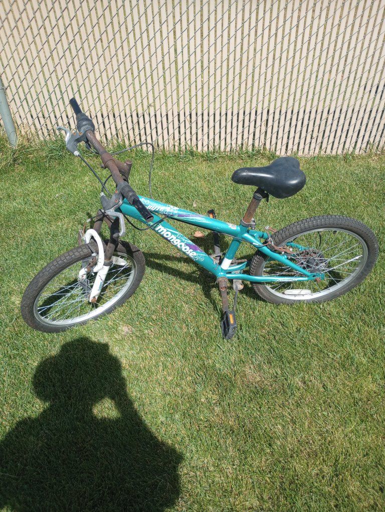 Teen Mongoose Bike