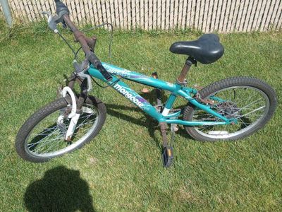 Teen Mongoose Bike